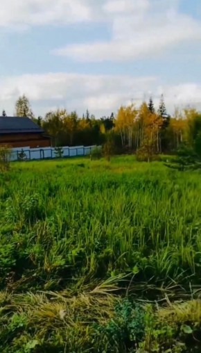 ДП Родной в Реже - rezh.yutvil.ru