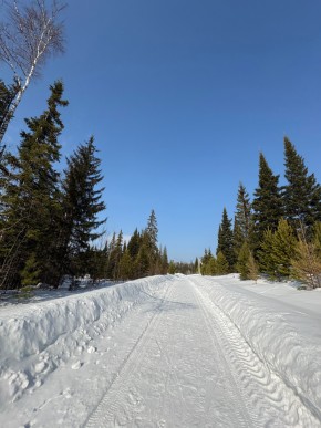 ДП Родной в Реже - rezh.yutvil.ru - фото 7