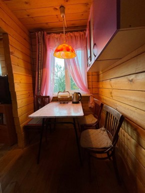 Екатеренбург сад Торгмаш, СНТ  Садовод, уч. 52 в Реже - rezh.yutvil.ru - фото 5