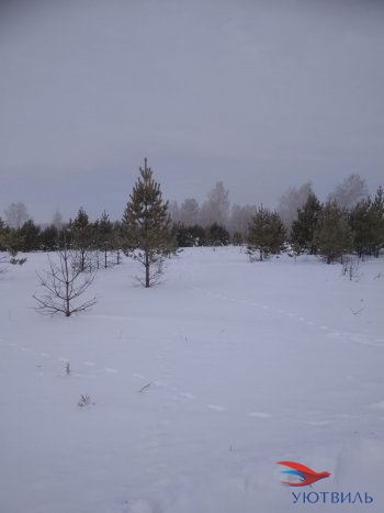 Земельный участок поселок Баженово в Реже - rezh.yutvil.ru - фото 5