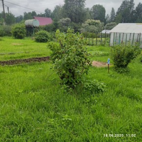 г Верхняя пышма, СНТ Мираж, уч.№ 99 в Реже - rezh.yutvil.ru - фото 11