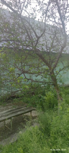 г Верхняя пышма, СНТ Мираж, уч.№ 99 в Реже - rezh.yutvil.ru - фото 26