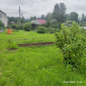 г Верхняя пышма, СНТ Мираж, уч.№ 99 в Реже - rezh.yutvil.ru - фото 8