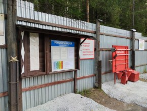 г.Верхняя Пышма СНТ №5 Березки в кв. 22 Среднеуральского Уралмашевского лесхоза в Реже - rezh.yutvil.ru - фото 18