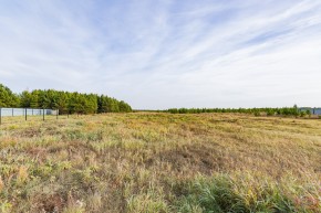 Российская Федерация, Свердловская область, Сысертский городской округ, территория садоводческого некоммерческого товарищества Бобровские дачи, улица Каштановая, земельный участок № 38 в Реже - rezh.yutvil.ru - фото 16