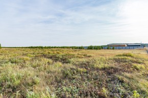 Российская Федерация, Свердловская область, Сысертский городской округ, территория садоводческого некоммерческого товарищества Бобровские дачи, улица Каштановая, земельный участок № 38 в Реже - rezh.yutvil.ru - фото 24