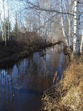 СНТ Берёзка в Реже - rezh.yutvil.ru - фото 14