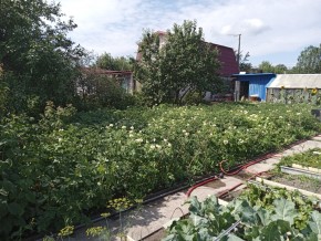 СНТ Медик-2 в Реже - rezh.yutvil.ru - фото 6