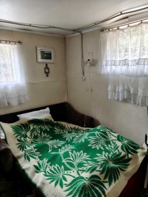 СНТ Родники в Реже - rezh.yutvil.ru - фото 10 СНТ Родники в Реже - rezh.yutvil.ru - фото 10