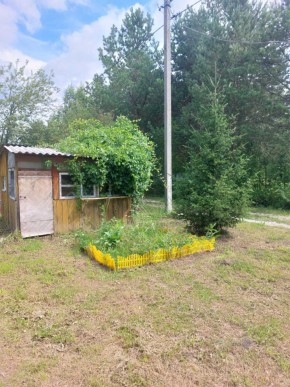 СНТ Родники в Реже - rezh.yutvil.ru - фото 1