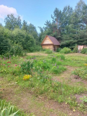 СНТ Родники в Реже - rezh.yutvil.ru - фото 2