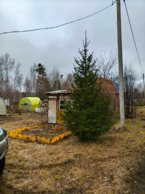СНТ Родники в Реже - rezh.yutvil.ru - фото 5 СНТ Родники в Реже - rezh.yutvil.ru - фото 5