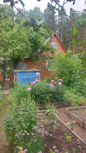 СНТ Садовод-24 в Реже - rezh.yutvil.ru