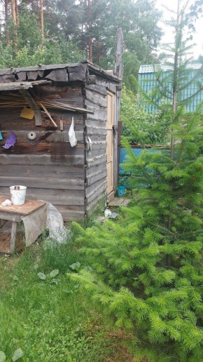 СНТ Садовод-24 в Реже - rezh.yutvil.ru - фото 13