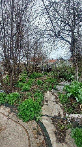 СНТ Сирень, уч. 38 в Реже - rezh.yutvil.ru - фото 7