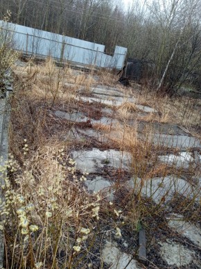 СНТ Весна,  уч. 41 в Реже - rezh.yutvil.ru - фото 3