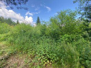 СПК Юбилейный, уч. 9 в Реже - rezh.yutvil.ru - фото 7