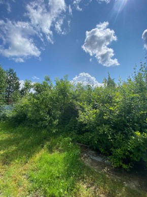 СПК Юбилейный, уч. 9 в Реже - rezh.yutvil.ru - фото 8