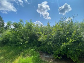 СПК Юбилейный, уч. 9 в Реже - rezh.yutvil.ru - фото 9