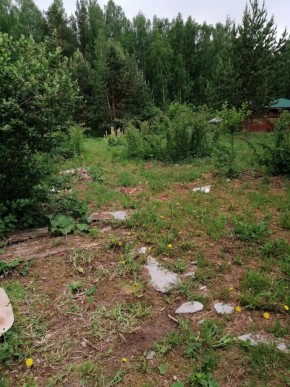 СТН Семья №112, Верхняя пышма на землях бывшего подсобного хозяйтва верхнепышминского опытного завода в Реже - rezh.yutvil.ru - фото 17 СТН Семья №112, Верхняя пышма на землях бывшего подсобного хозяйтва верхнепышминского опытного завода в Реже - rezh.yutvil.ru - фото 17