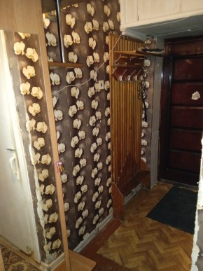 ул. Бажова,11 в Реже - rezh.yutvil.ru - фото 9 ул. Бажова,11 в Реже - rezh.yutvil.ru - фото 9