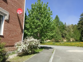 ул. Сосновая, 8 в Реже - rezh.yutvil.ru - фото 25 ул. Сосновая, 8 в Реже - rezh.yutvil.ru - фото 25