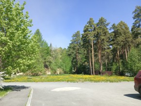 ул. Сосновая, 8 в Реже - rezh.yutvil.ru - фото 26 ул. Сосновая, 8 в Реже - rezh.yutvil.ru - фото 26