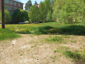 ул. Сосновая, 8 в Реже - rezh.yutvil.ru - фото 33 ул. Сосновая, 8 в Реже - rezh.yutvil.ru - фото 33