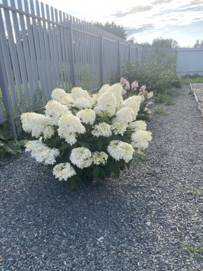 ул. Весенняя,12 в Реже - rezh.yutvil.ru - фото 20